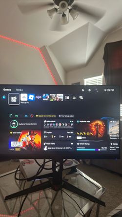 Acer Gaming Monitor
