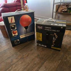 2 Punching Bags - $25 for both, pickup only
