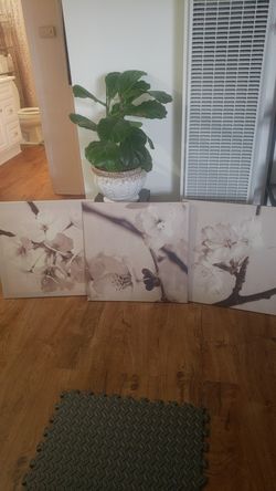 CHERRY BLOSSOM wall art set of 3 canvases