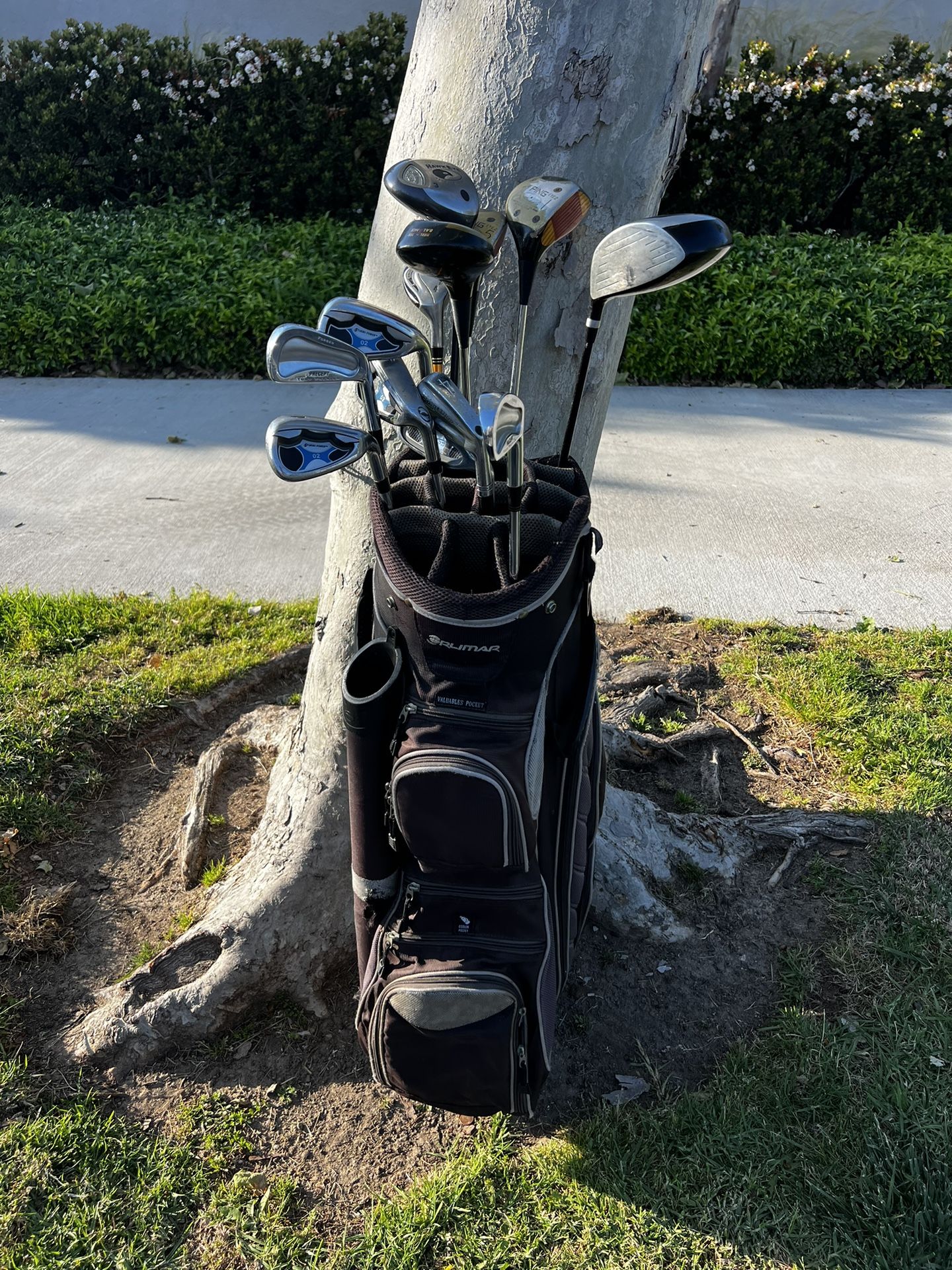 Golf Clubs With Covers 
