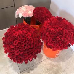 RAMO BUCHÓN VALENTINE