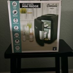 Mini Fridge