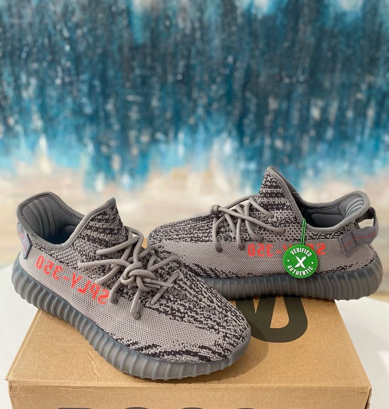 Yeezy Adidas Shoes