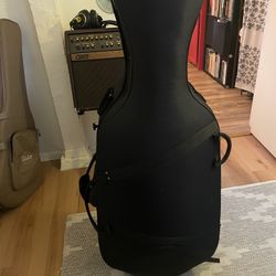 Cello Case 