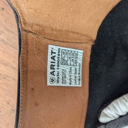 Men's Size 10 Riding Boots