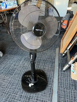 Fan