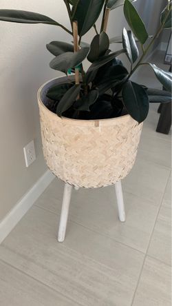 Planter stand