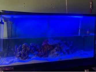 Salt water set up