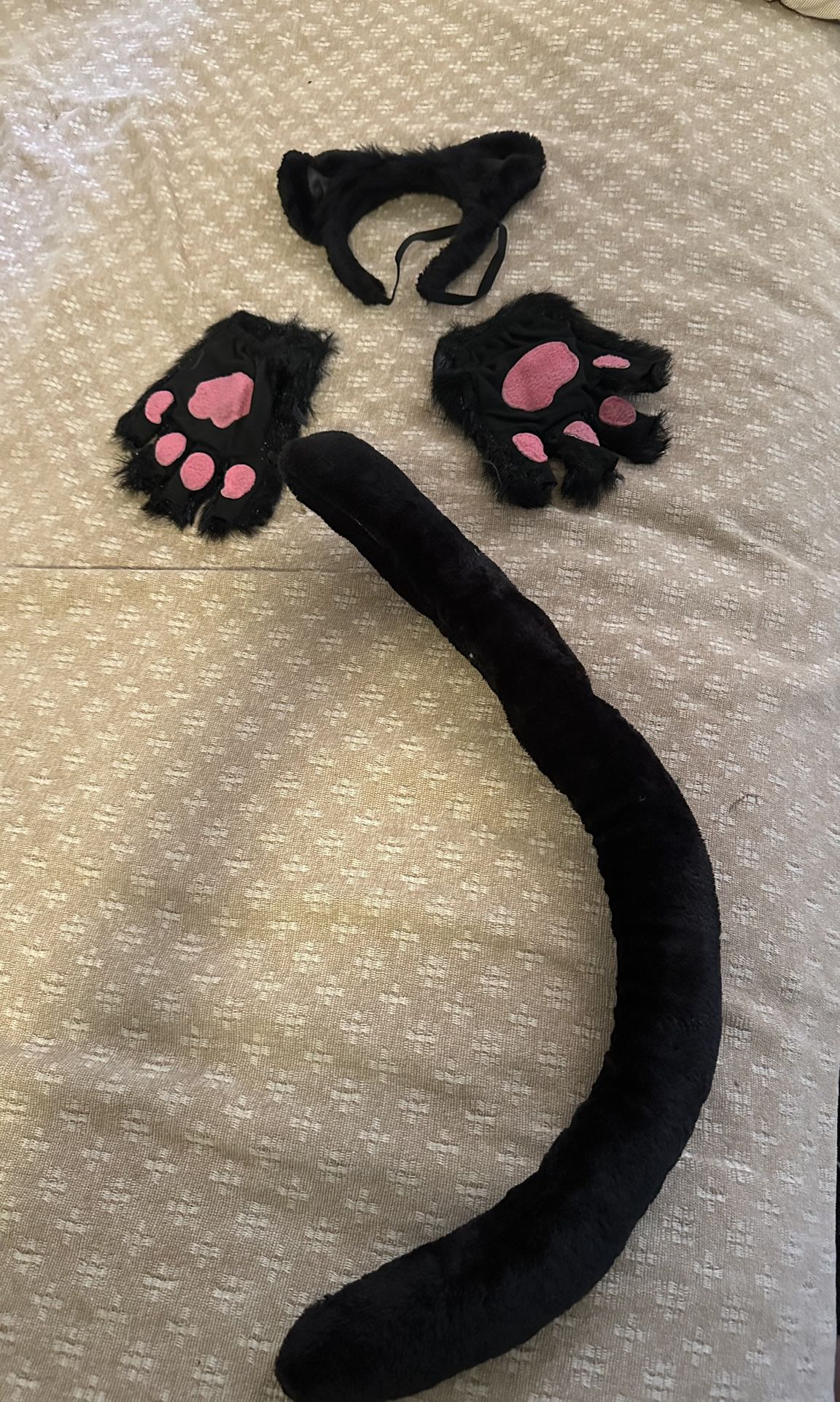 Panther/Cat costume