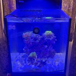 Red Sea Nano Max G2 Peninsula Reef Tank