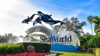 SeaWorld **** Sesame Place Water Park ****