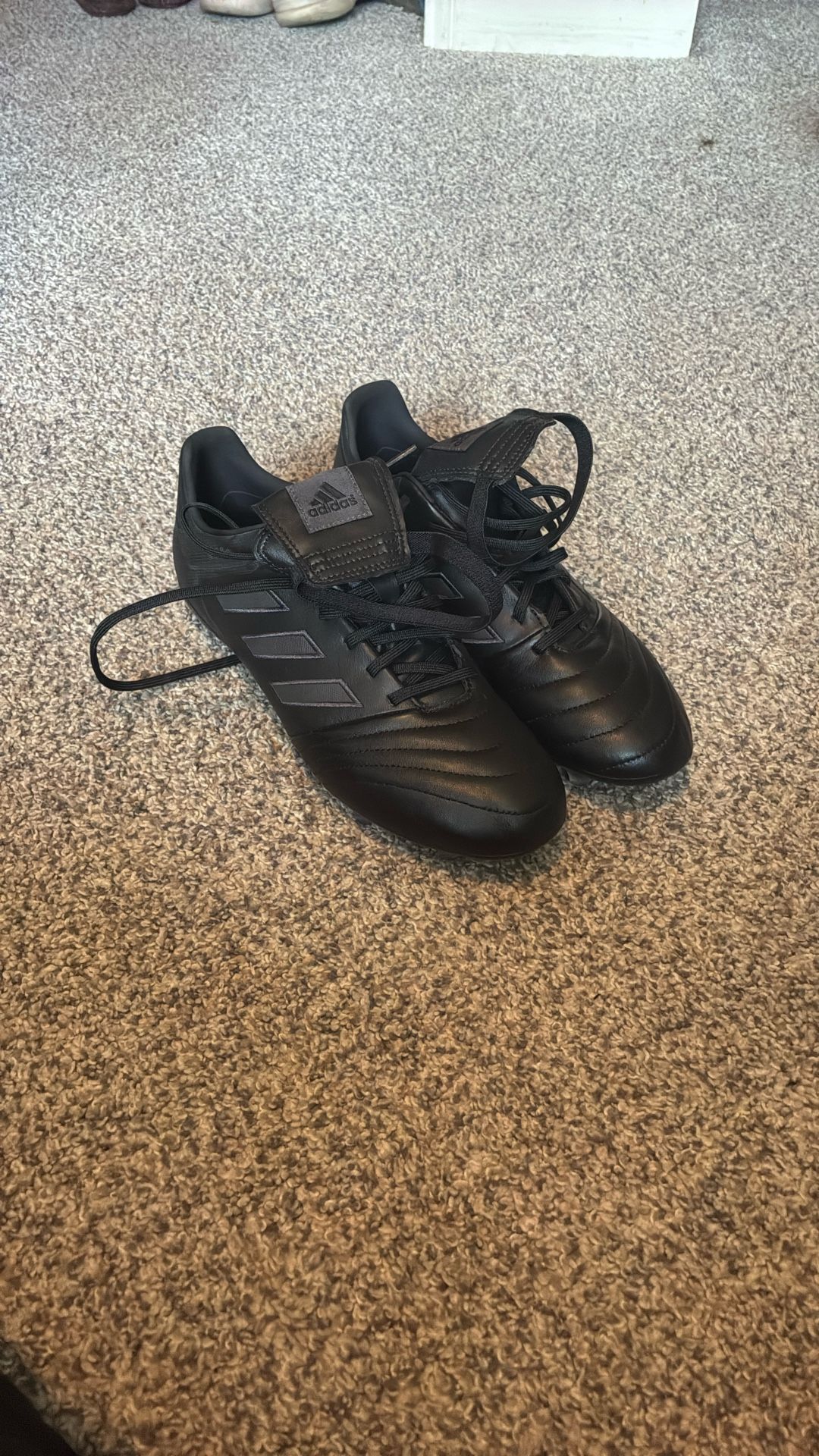 Copa Gloro 17.2 FG