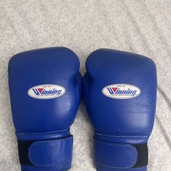 16oz Winning Gloves