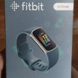 Fitbit5