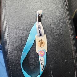 Wonderfront Saturday General Admission 