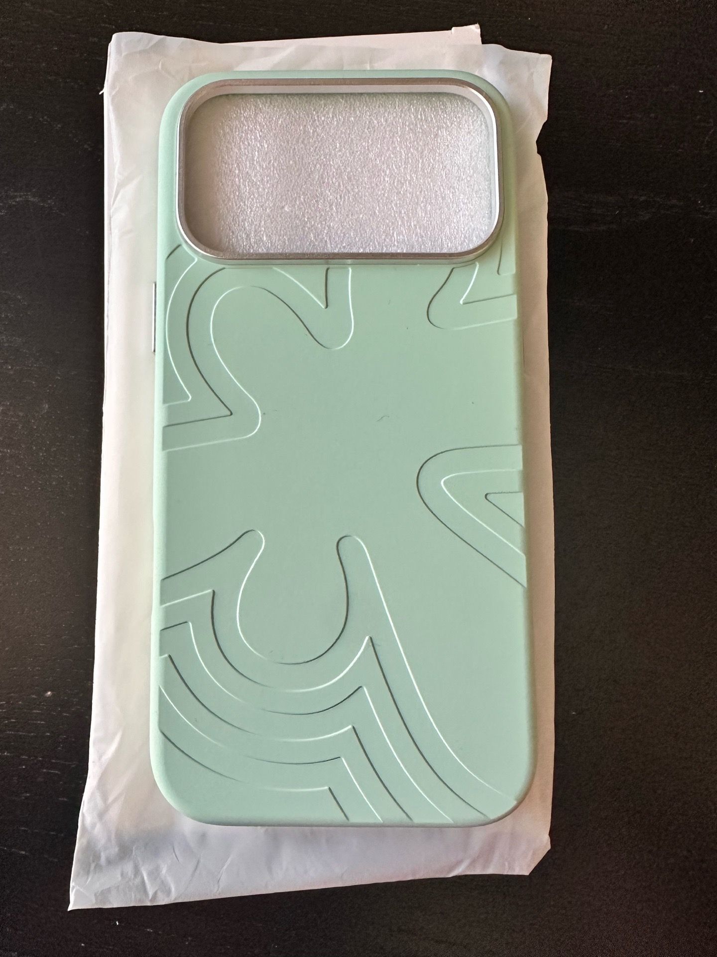 Case for iPhone 17 Pro Max