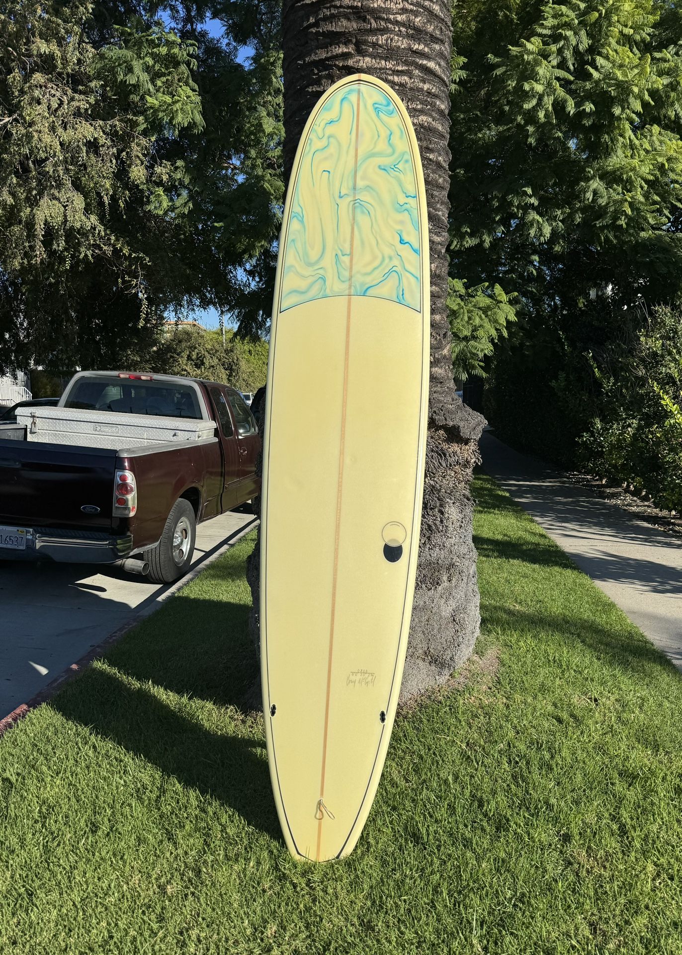 9 Foot Longboard Surfboard