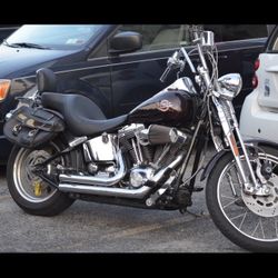 2006 Harley Davidson Springer soft tail