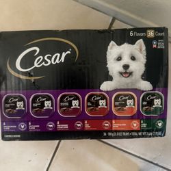 Dog Food Caesars 36 Pack 