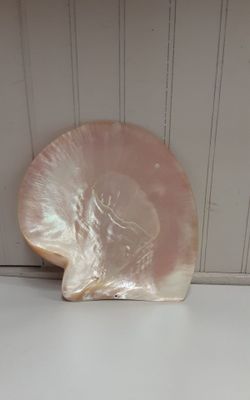 Large Mother Of Pearl Dish- Located in Shelton