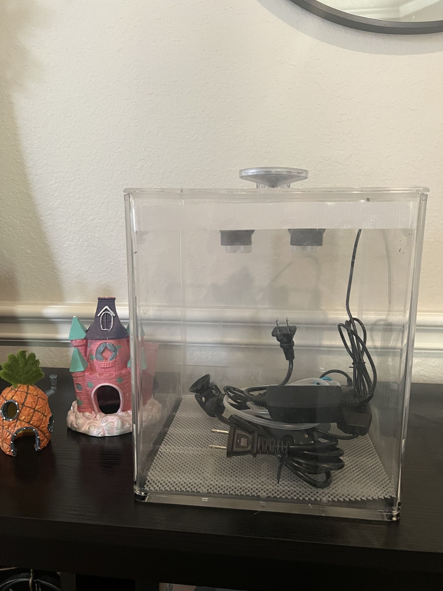 NoClean Aquarium 3 Gal