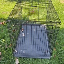 Dog kennel