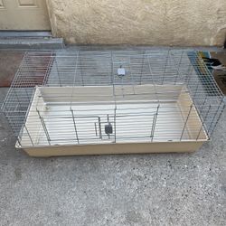 Rabbit cage 
