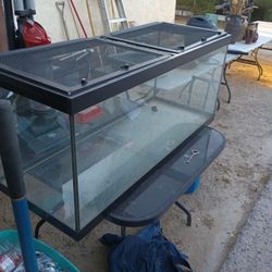 Reptile Aquarium Excellent Condition 