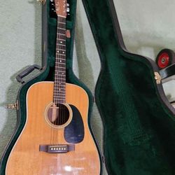 Martin & CoAcousticGuitar 
