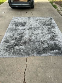Large Shaggy Area Rug