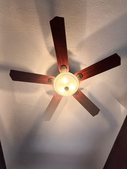 Ceiling fan with light
