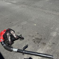 Leafs Blower