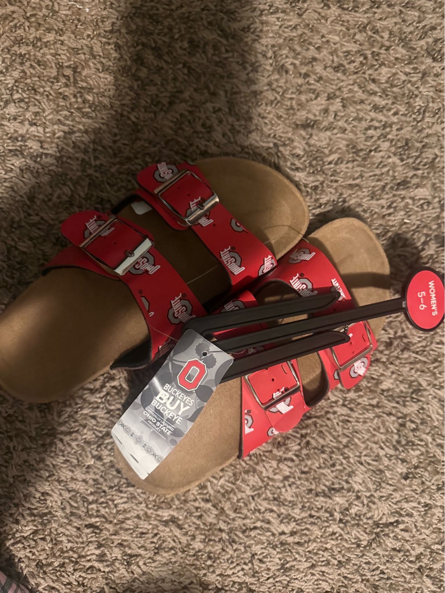 Ohio state slides