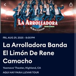 LA ARROLLADORA BANDA EL LIMÓN