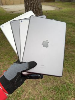 iPads 5 / 6 / 8 / Pro