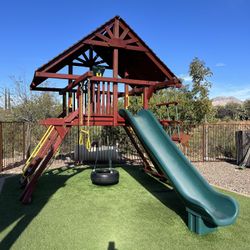 Tree Frog Swing Sets Playhouse