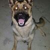 JUNIOR
