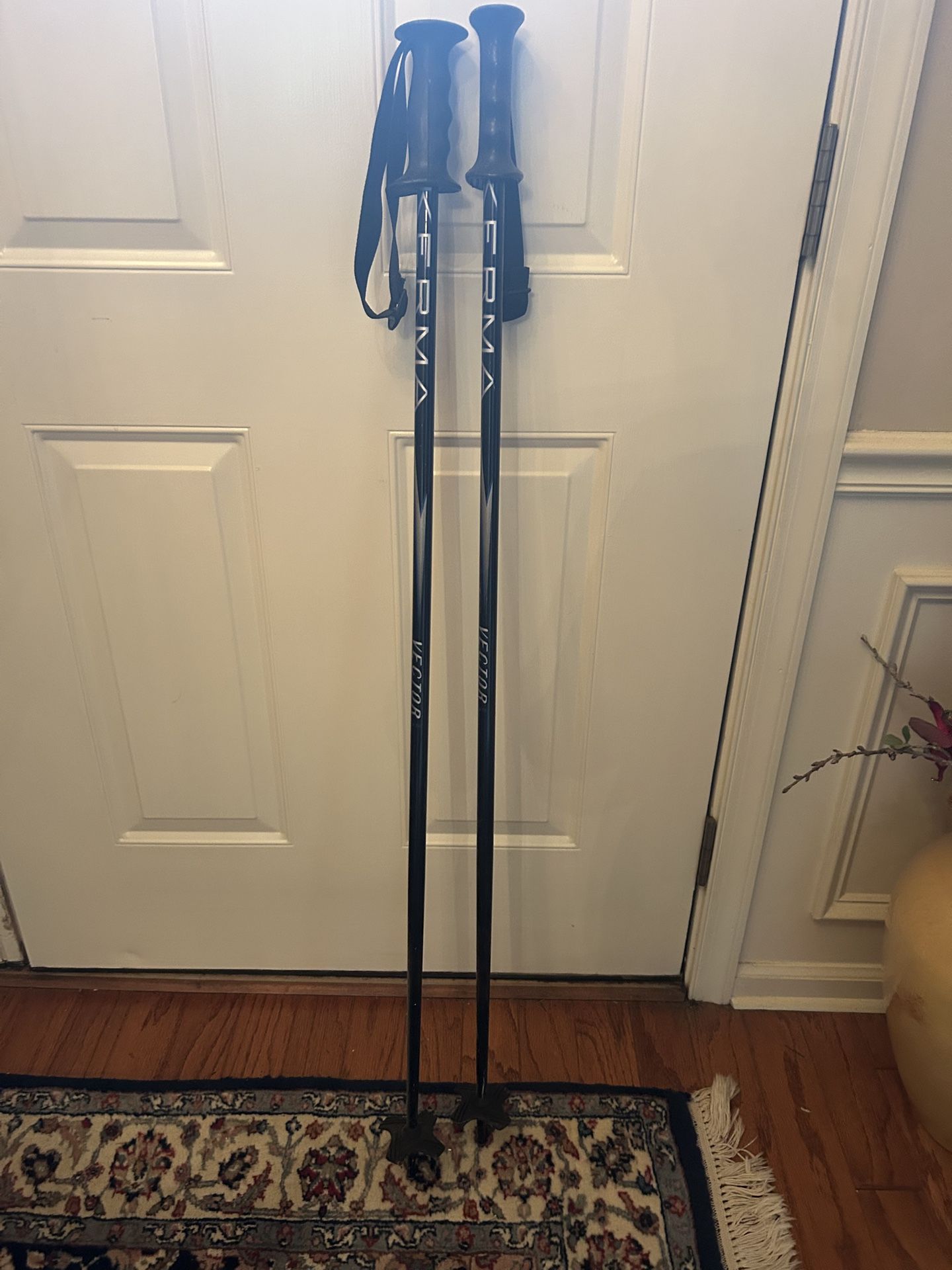 ERMA Ski Poles