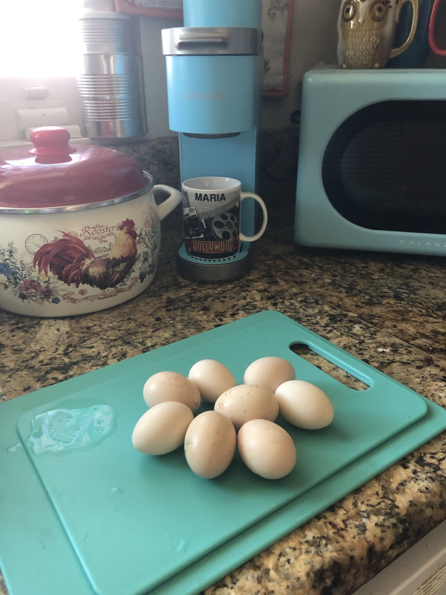 Hatching Eggs
