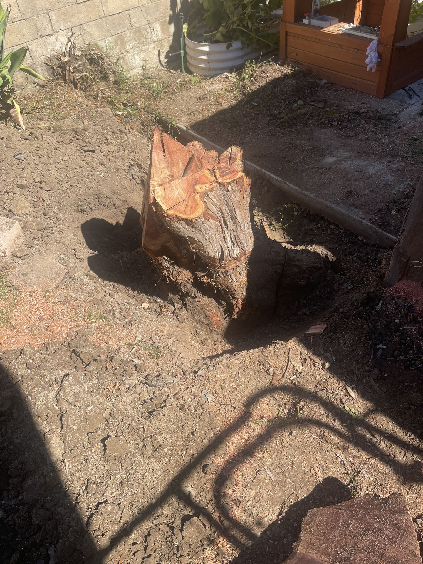 Stump Removal