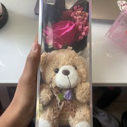 teddy bear 
