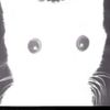 kittykittykitty