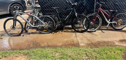 Adults bikes Bikes $50 cada una