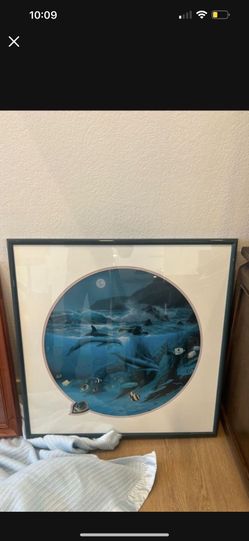 Dolphine Picture