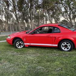 2000 Ford Mustang 