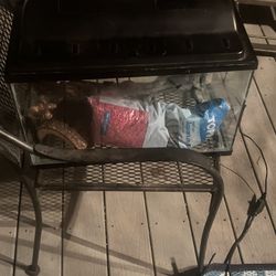 10 Gallon Aquarium Setup