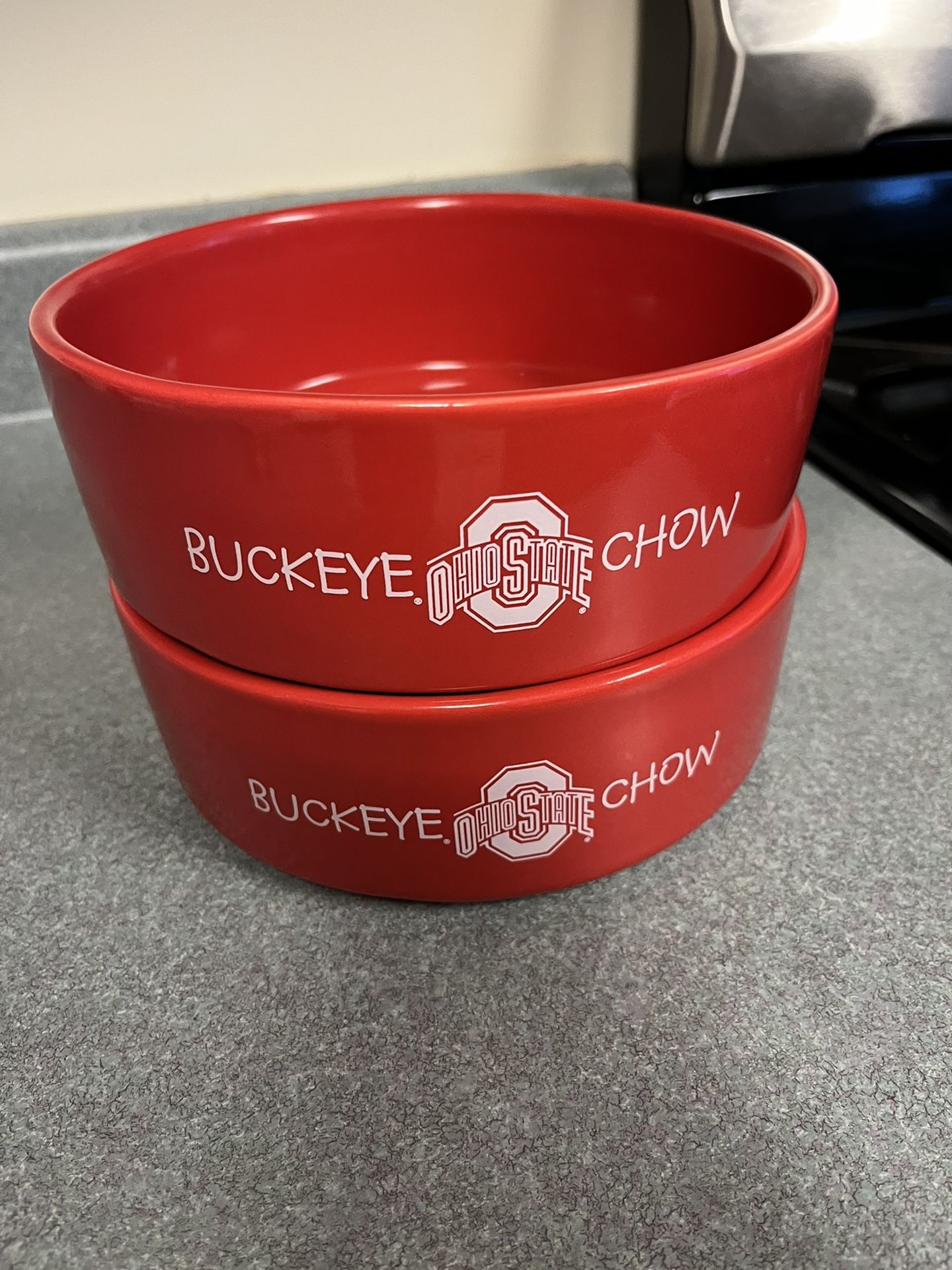 Ohio State Buckeyes Ceramic Dog Bowls
