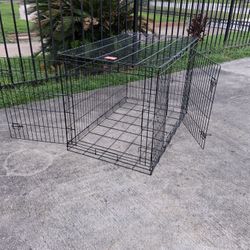 Big Cage 