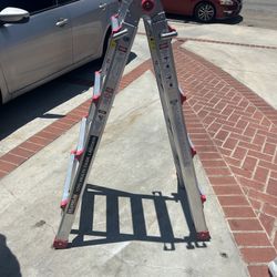 Harbor Freight ladder 