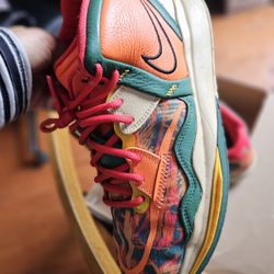 Nike Shoes (9.5)